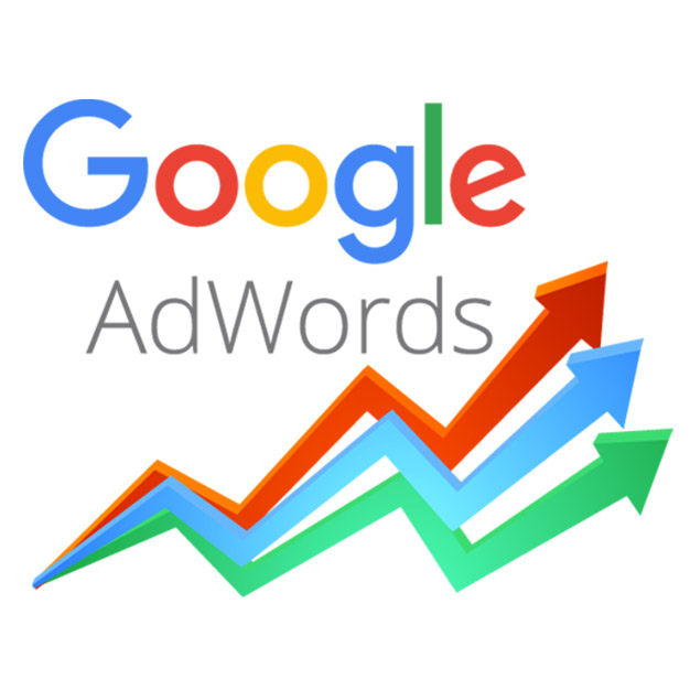 Google Advertising Agency in Delhi