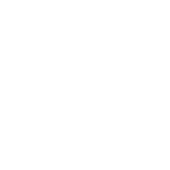 Monster-Media Website development process